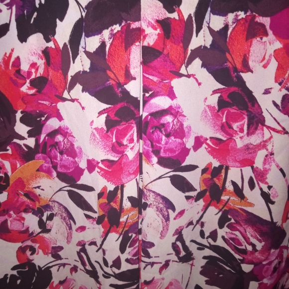 Rose & Olive Dressy Tank V Neck Roses/Floral Decor XL - Picture 3 of 4